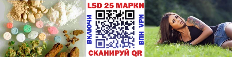 Купить закладки  Ковылкино  Лсд 25 экстази кислота 